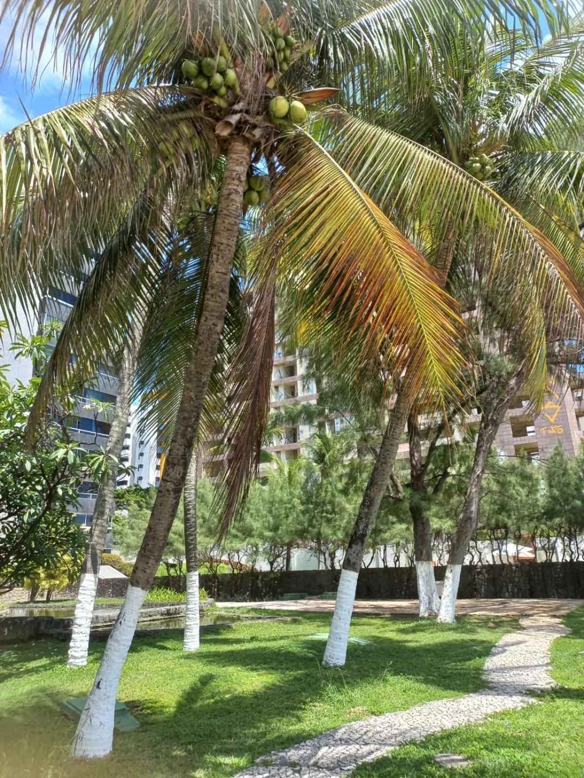 Golden Beach Flat Na Praia Piedade Jaboatao dos Guararapes Exterior foto
